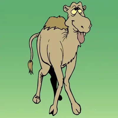 SATORI CAMEL Run logo