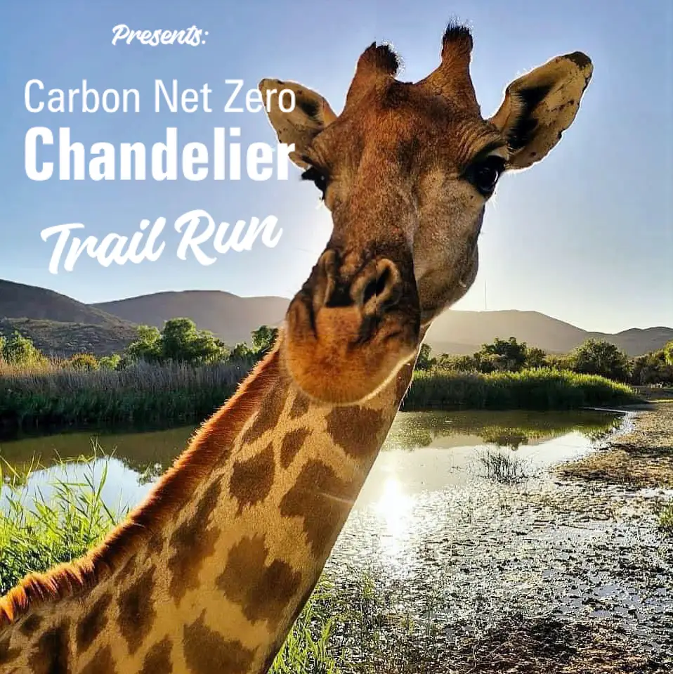Chandelier Trail Run logo