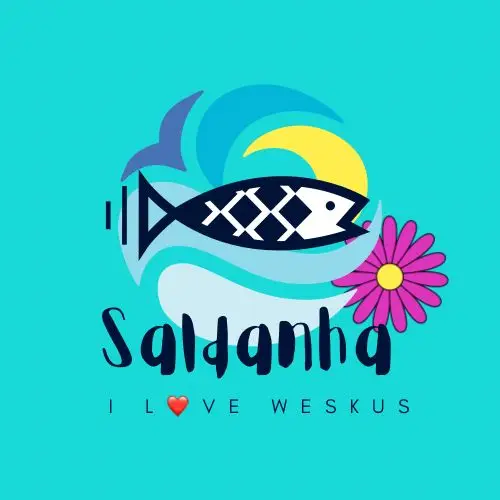 Saldanha Sea Harvest Foundation Health Run logo