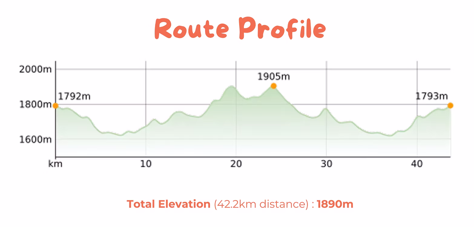 Elevation profile — Marathon