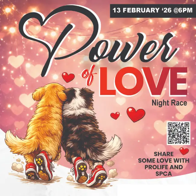 Power of Love Night race logo